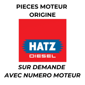piece-moteur-origine-hatz-nous-consuler